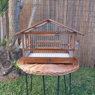 20250118_122840-scaled