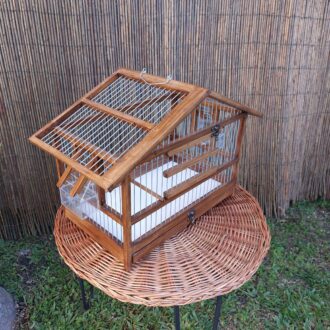 20250118_122924-scaled-e1740674291160