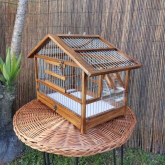 20250118_123013-scaled-e1740674276883