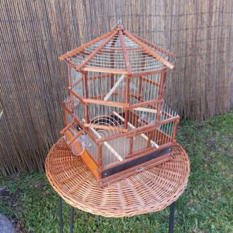 20250118_123904-scaled-e1740772431688