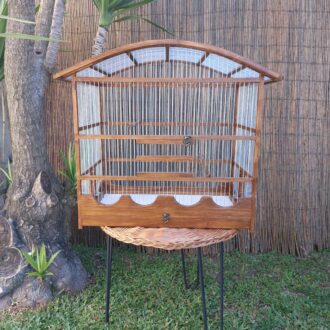 20250118_124430-scaled