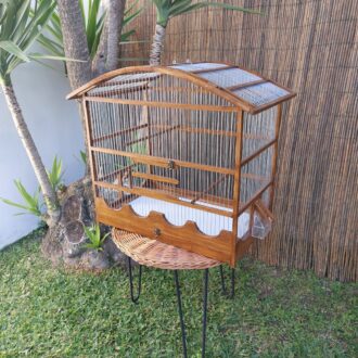 20250118_124446-scaled-e1740678304814