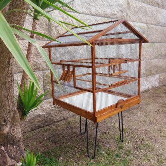 20250318_121228-scaled-e1744990154267