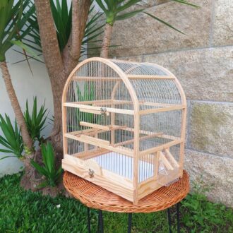 20250505_191949-scaled