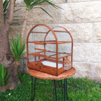 20250505_193525-scaled