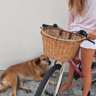 il_fullxfull.3291976362_nap6-scaled