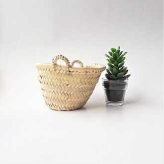 il_fullxfull.3312613686_nad2