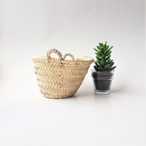 il_fullxfull.3312613686_nad2