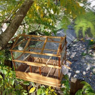 il_fullxfull.3506589716_5tky