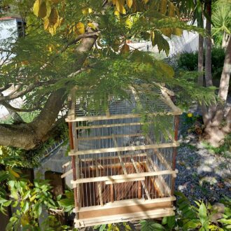 il_fullxfull.3554165913_6zpi