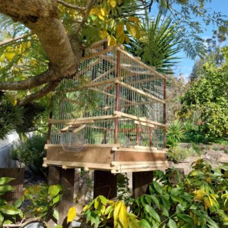 il_fullxfull.3554165923_dtko