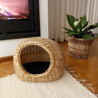 il_fullxfull.3594108908_asn3-scaled