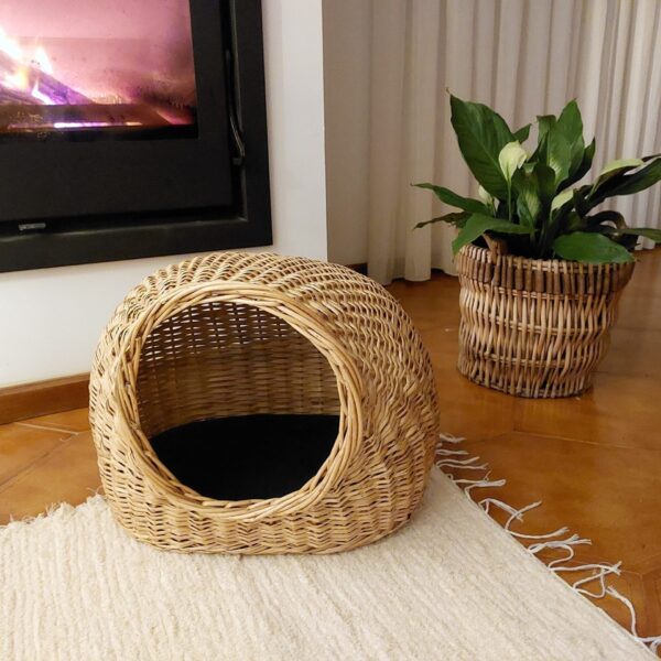 il_fullxfull.3594108908_asn3-scaled