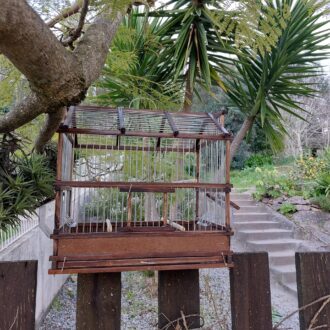 il_fullxfull.3620742704_jm6r-scaled