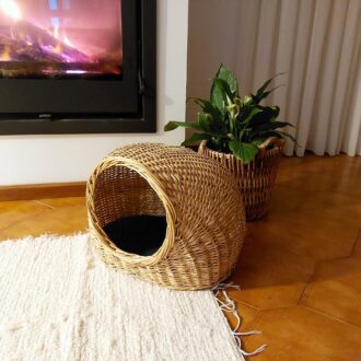 il_fullxfull.3641624669_jrwf-scaled