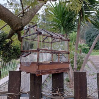 il_fullxfull.3668355897_bt44-scaled