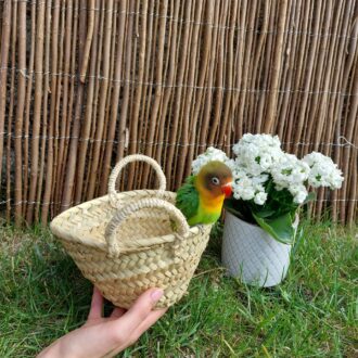 il_fullxfull.3924631324_pr2d