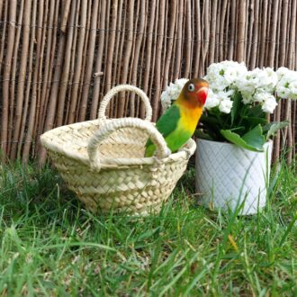 il_fullxfull.3972092283_9y7l