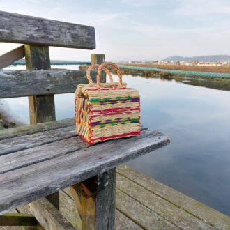 il_fullxfull.4017328564_po66-scaled