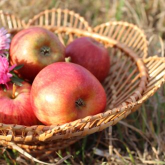 il_fullxfull.4146775516_a19e-scaled