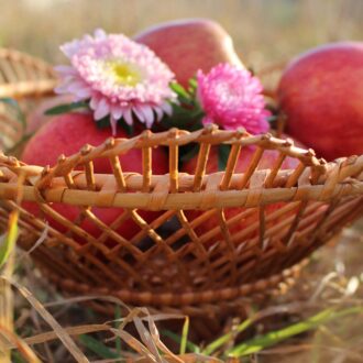 il_fullxfull.4146775548_ffux-scaled