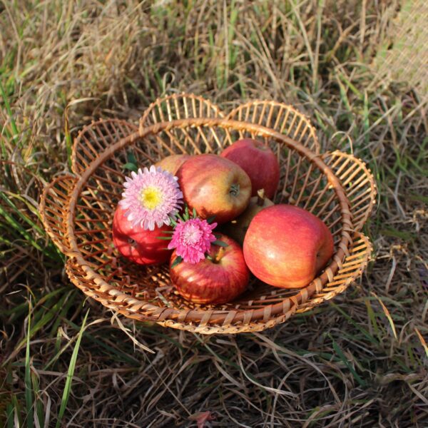 il_fullxfull.4146808608_8c6w-scaled