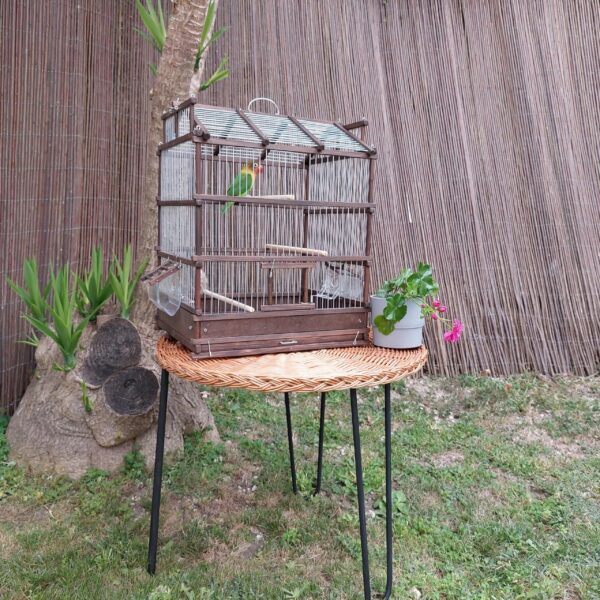 il_fullxfull.4192387099_bo4r-scaled