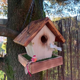 il_fullxfull.4410196683_q254-scaled