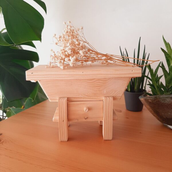 il_fullxfull.4810946649_dttu-scaled