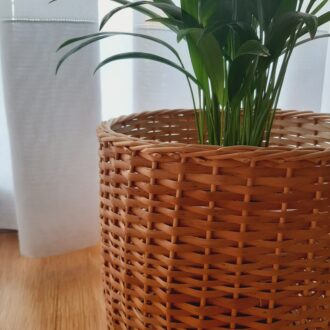 il_fullxfull.4821209917_305z-scaled