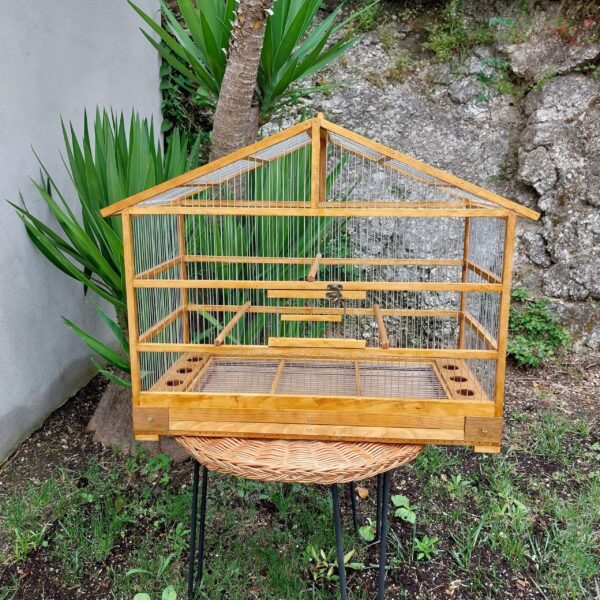 il_fullxfull.4993173776_m6j0-scaled