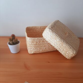 il_fullxfull.5027103126_q9ie-scaled