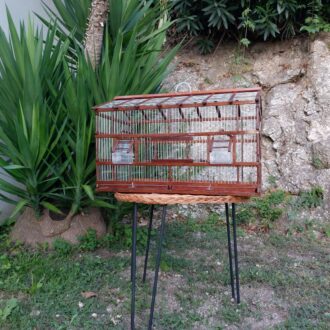 il_fullxfull.5318621559_9x6z-scaled