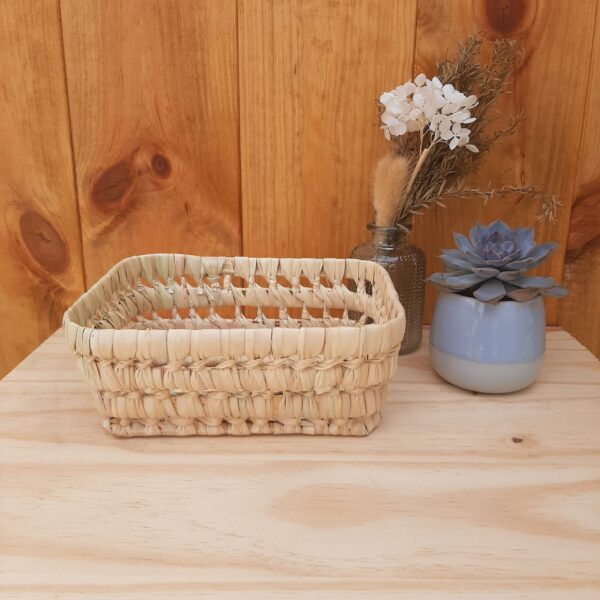 il_fullxfull.5456914282_6mj5-scaled