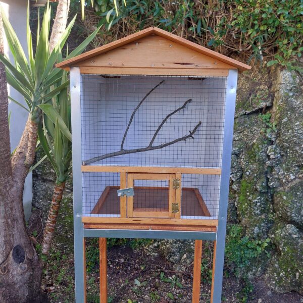 il_fullxfull.5621339600_t8ok-scaled