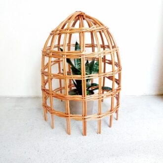 il_fullxfull.7087032633_dro8-scaled